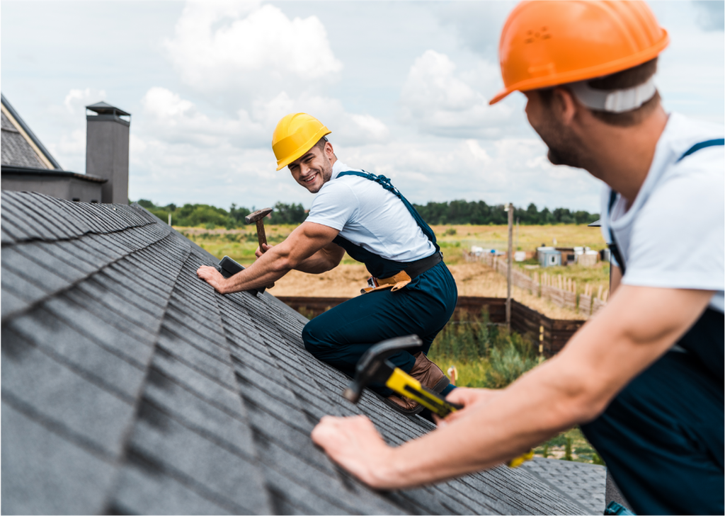 Roof Mantainance